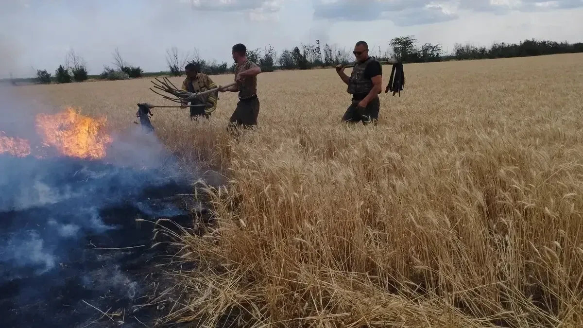 На деокупованій Херсонщині знищені понад 250 зерносховищ, елеваторів не залишилося