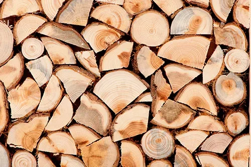 Тролейбусне управління Білої Церкви закупить дрова