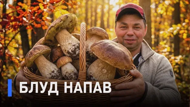 Гриби самі лізуть у кошик: на Волині опеньки збирають відрами за 10 хвилин (відео)