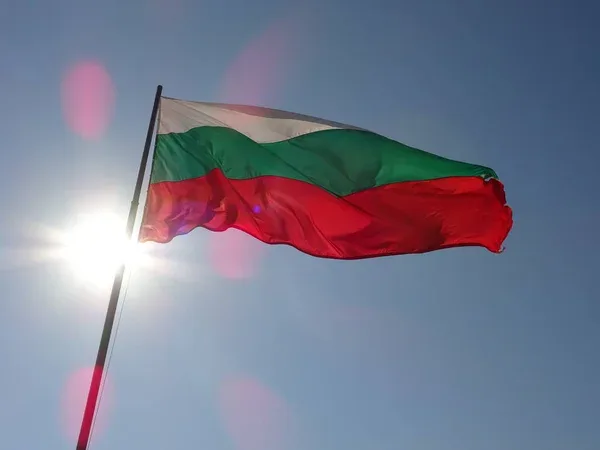 Болгарія відмовилася фінансувати закупівлю зброї для України: причини