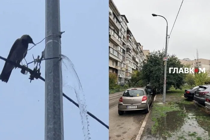 Комунальний курйоз: у Києві стовп раптово «перетворився» на фонтан (відео)