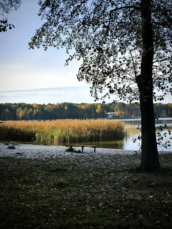 Осінній спокій озера Пісочне у Ковельському районі (фото)