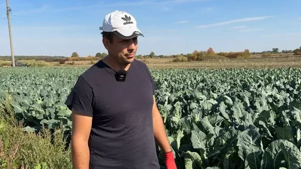 Покинув роботу заради поля: волинянин вирощує броколі та цвітну капусту (фото)