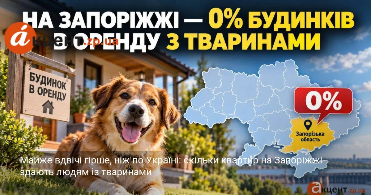 Майже вдвічі гірше, ніж по Україні: скільки квартир на Запоріжжі здають людям із тваринами