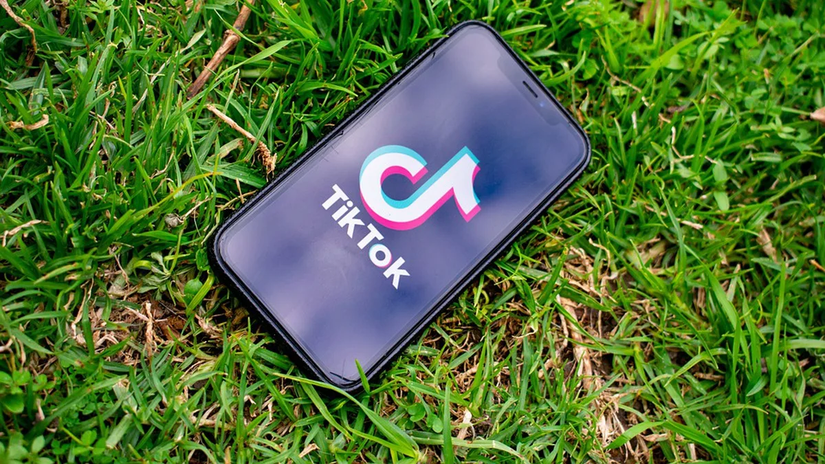 Петиція до Кабміну про заборону TikTok в Україні набрала лише 289 голосів