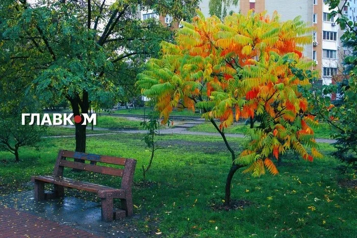 В Україні до 20°, місцями дощитиме: погода на 23 жовтня 2026 року