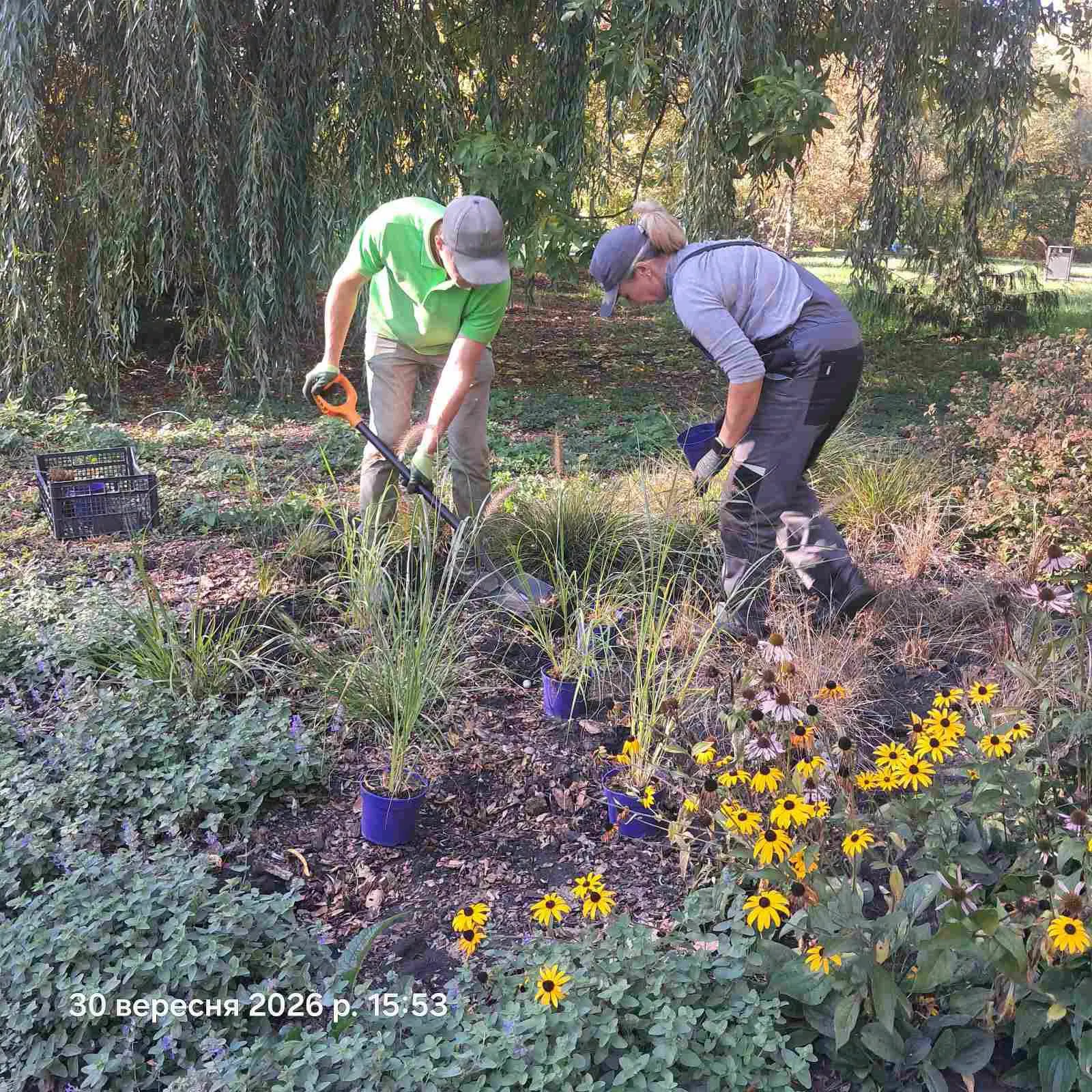 У чотирьох парках Львова висадили понад понад 700 рослин. Де закупили