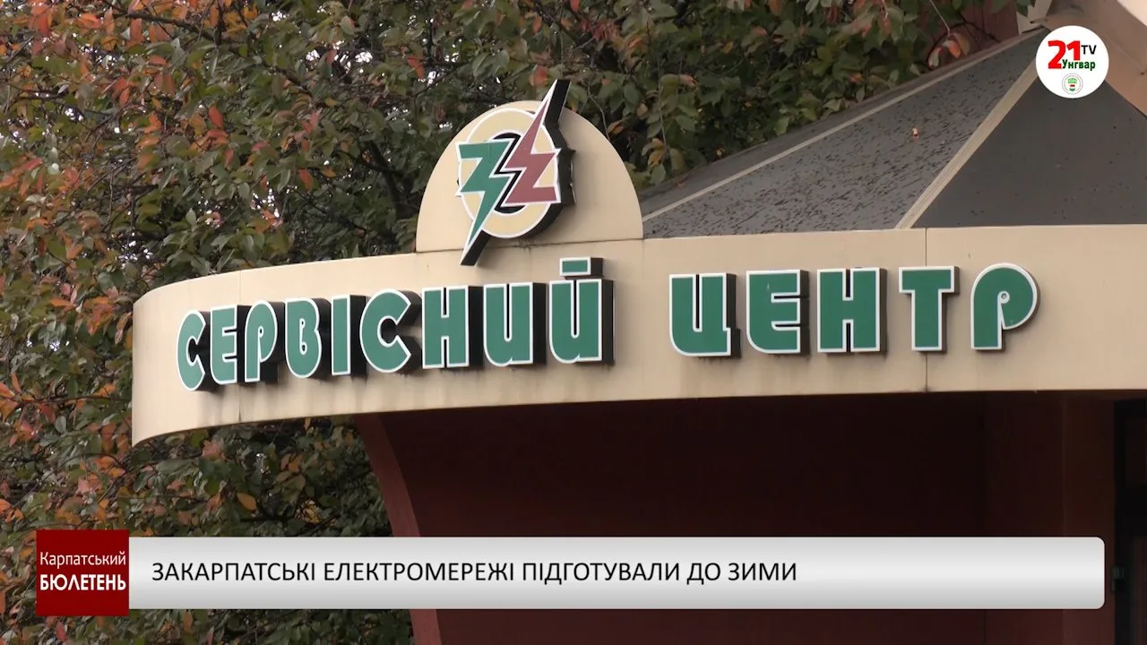 Закарпатські електромережі підготували до зими