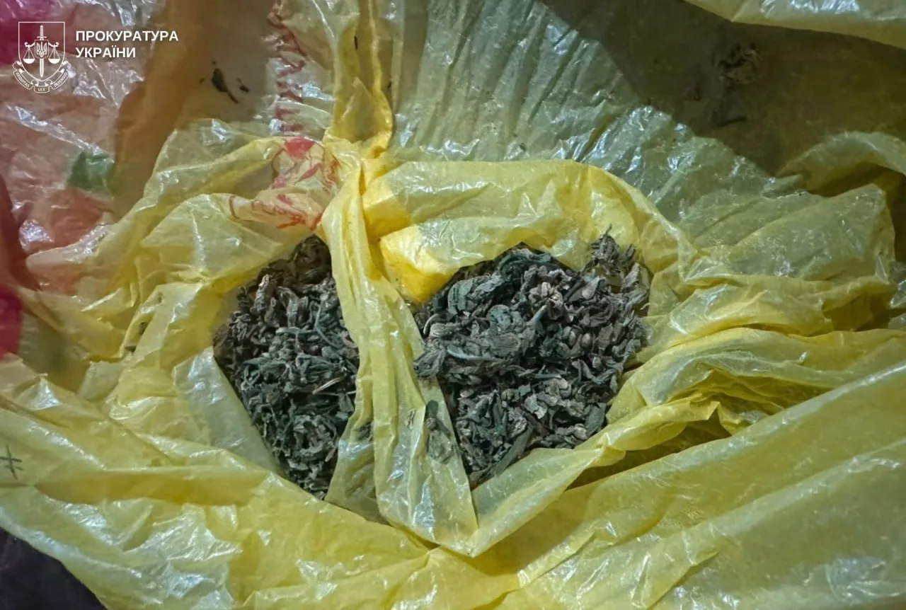 На Львівщині двох чоловіків судитимуть за постачання наркотиків у колонію - 2
