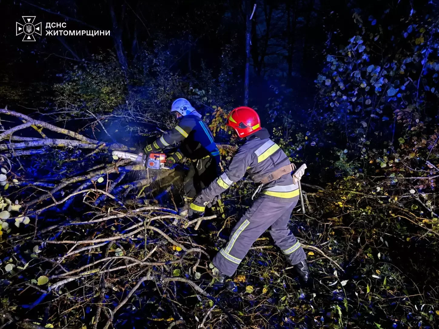 Рятувальники ДСНС розпилюють дерево на дорозі в Любарі