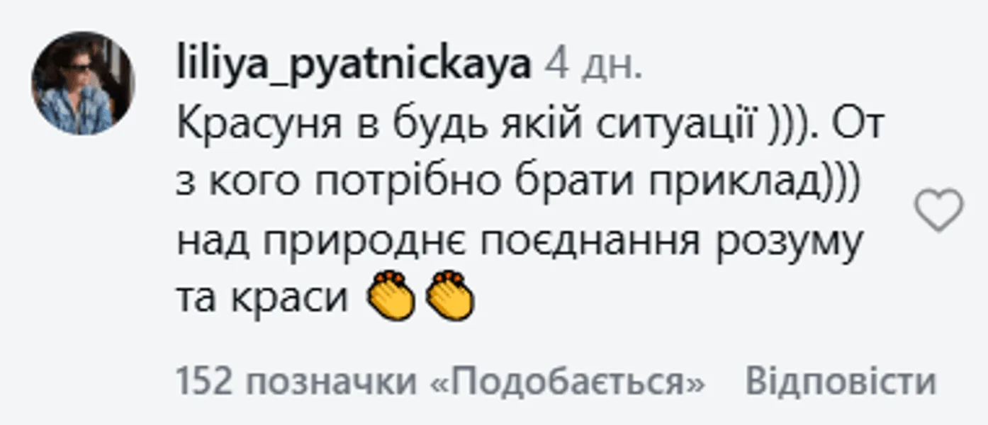 Реакция сети на новый образ Тимошенко