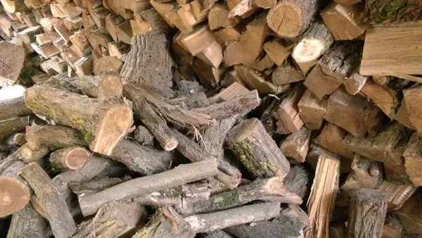 «Купую дрова з кожної пенсії»: скільки коштує зігрітися взимку на Волині (фото)