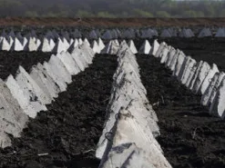 Міноборони Литви профінансує розробку мобільної гри про оборону Балтії