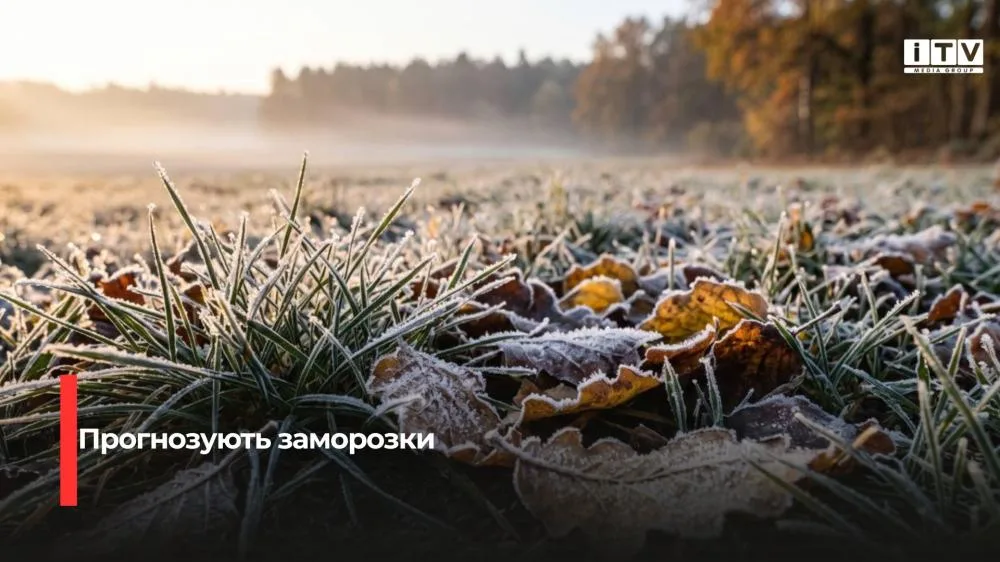 Заморозки прогнозують на Рівненщині