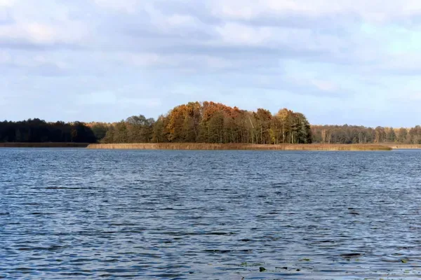Що приховує вода волинських озер і річок: фахівці перевірили Прип'ять, Світязь і ще чотири озера (фото)
