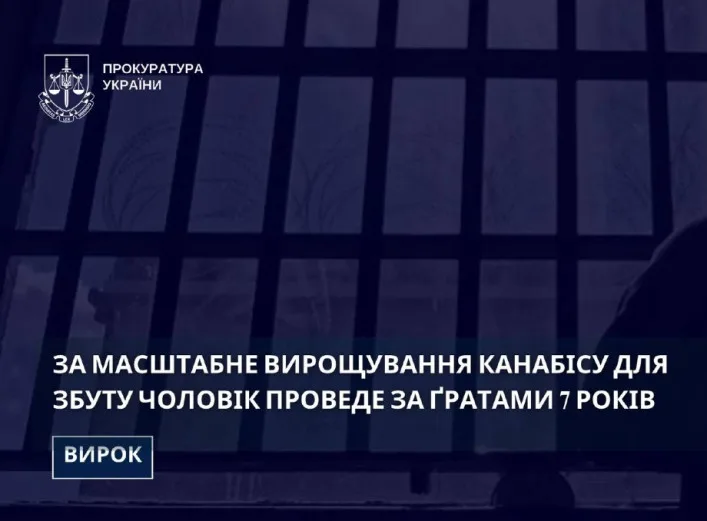 Житель Роменського району отримав сім років в'язниці за вирощування та збут канабісу