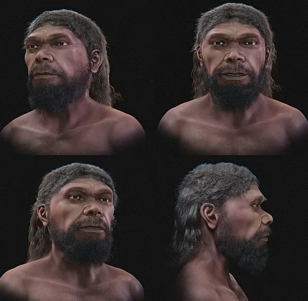 Ученые воспроизвели лицо Homo sapiens в возрасте 315 тысяч лет Вчені відтворили обличчя Homo sapiens віком 315 тисяч років