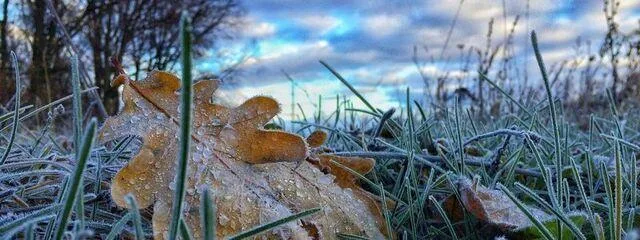 Упродовж вихідних на Тернопільщині прогнозують спочатку заморозки, а потім дощі