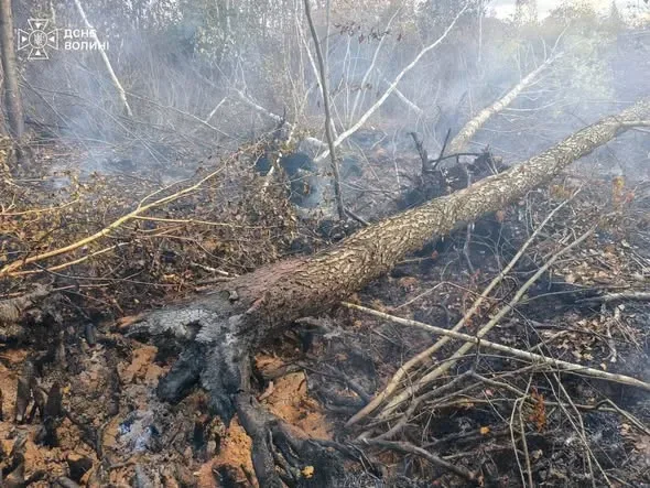 🔥 Майже 6 годин боротьби з вогнем: на Ковельщині горів торф (фото)