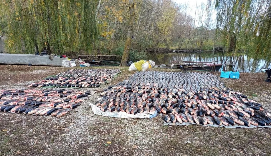 На Дніпропетровщині шестеро браконьєрів наловили понад 6 тонн риби на 5,4 млн грн