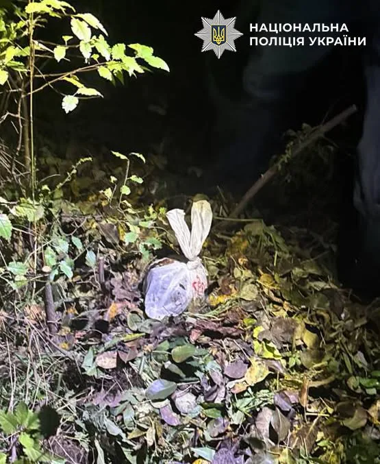 У столиці наркоторговка маскувала наркотики та психотропи в коробках із пазлами для дітей (фото) У столиці наркоторговка маскувала наркотики та психотропи в коробках із пазлами для дітей