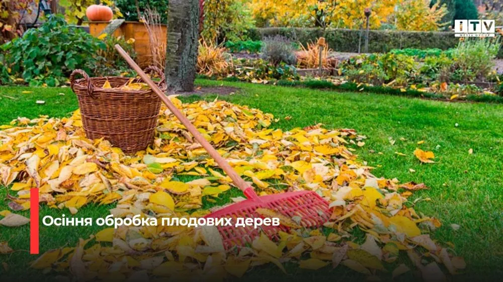 Чим обробити сад восени, щоб захистити дерева від хвороб і шкідників: дієвий засіб