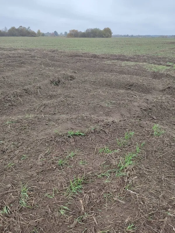 На Волині любителі дрифту нищать засіяні поля: фермери звернулися до поліції (фото)