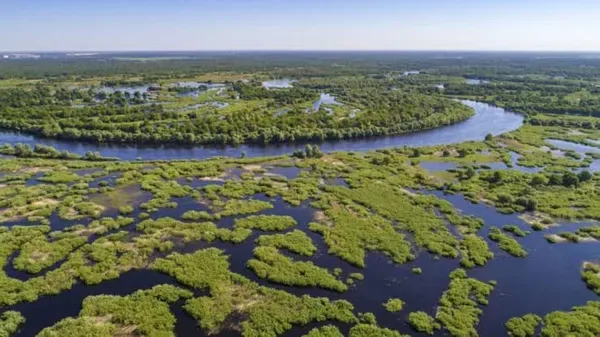 Із Волині у Дніпро через Білорусь, крізь болота та ліси несе свої води неймовірна річка (фото)