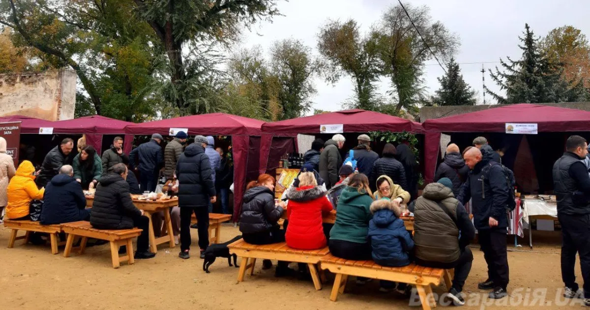 Виноробів та крафтових виробників півдня Одещини запрошують на Міжнародний Bolgrad Wine Fest 2026