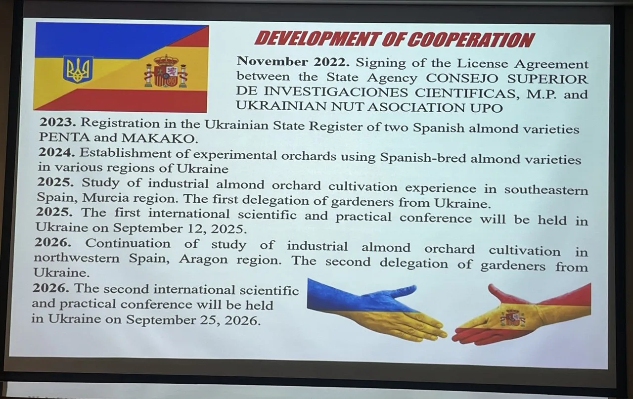 Мигдаль у Бессарабії росте краще, ніж в Іспанії: селекціонер Володимир Балабан розкрив секрети прибуткового бізнесу