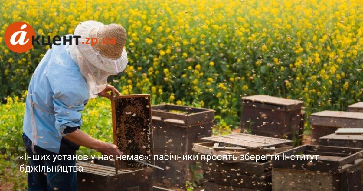 «Інших установ у нас немає»: пасічники просять зберегти Інститут бджільництва