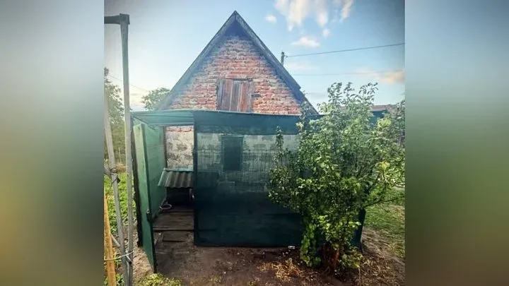 На Львівщині судитимуть чоловіка, який ножем і вилами заколов вівчарку
