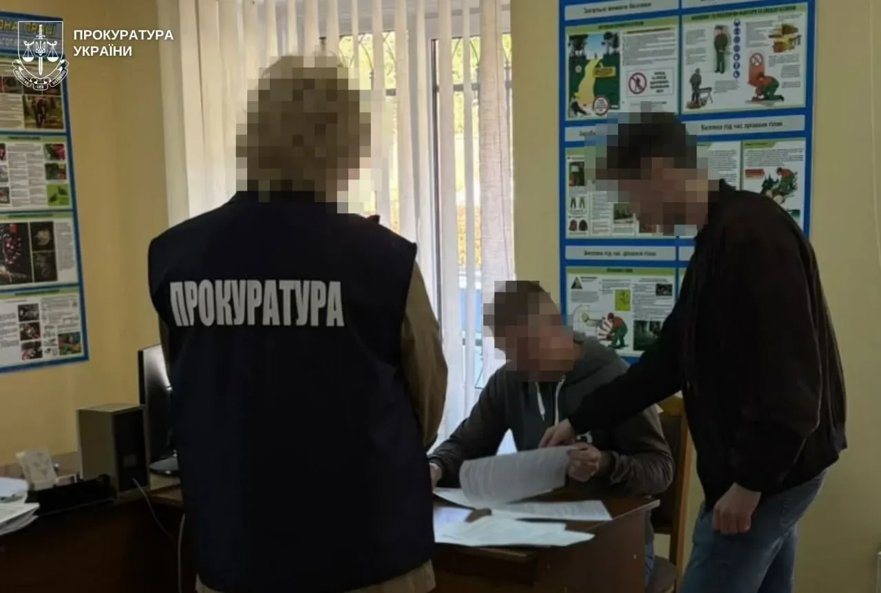 На Стрийщині незаконно зрубали 28 ялин у заказнику: посадовцю лісництва повідомили про підозру