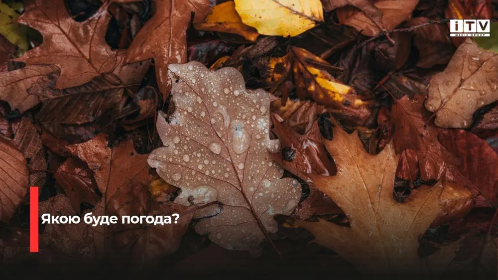 На Рівненщині прогнозують туман