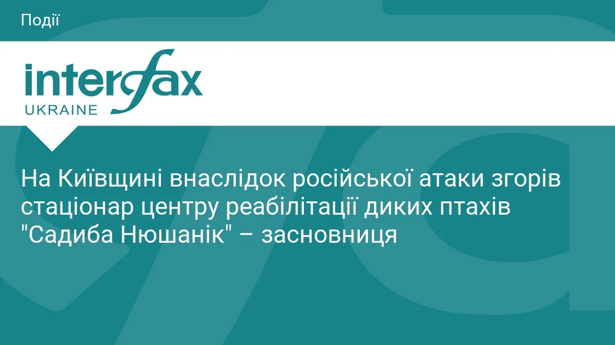 На Київщині внаслідок російської атаки згорів стаціонар центру реабілітації диких птахів "Садиба Нюшанік" – засновниця
