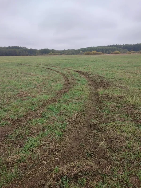 На Волині любителі дрифту нищать засіяні поля: фермери звернулися до поліції (фото)