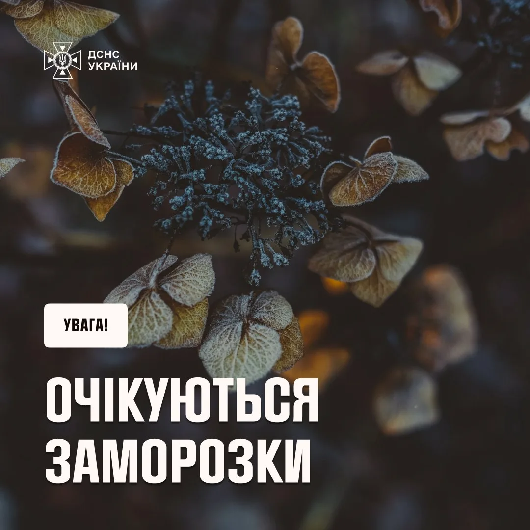 На Дніпропетровщину прийдуть заморозки: синоптики попередили про небезпеку