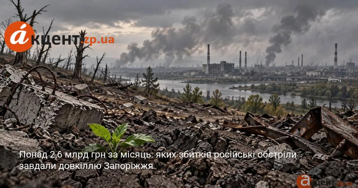 Понад 2,6 млрд грн за місяць: яких збитків російські обстріли завдали довкіллю Запоріжжя