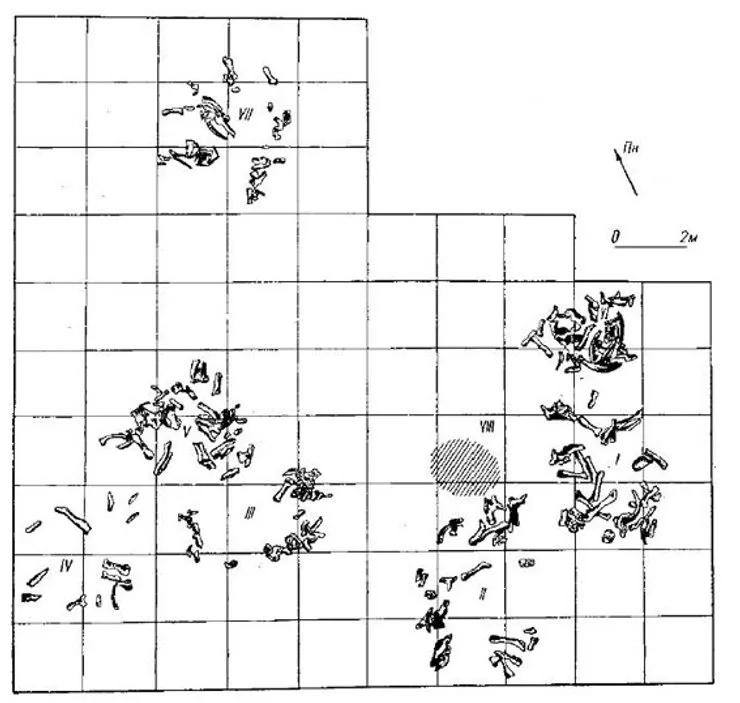 Стоянку обнаружили в 1956 году