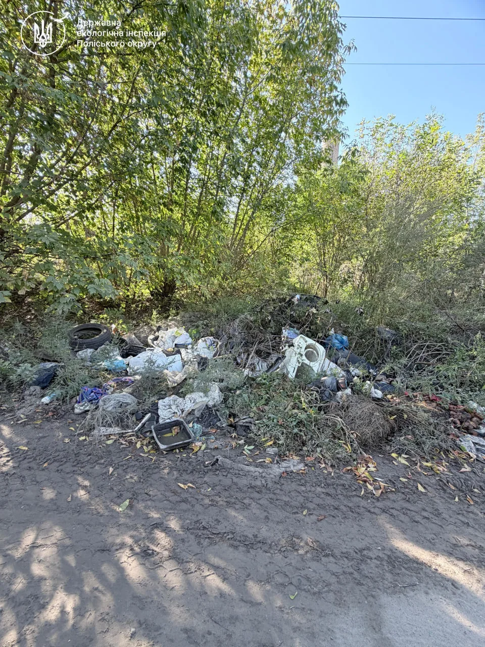 Екологічний інспектор оглядає стихійне звалище
