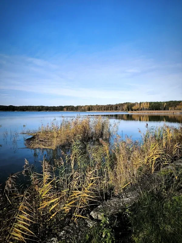 Осінній спокій озера Пісочне у Ковельському районі (фото)