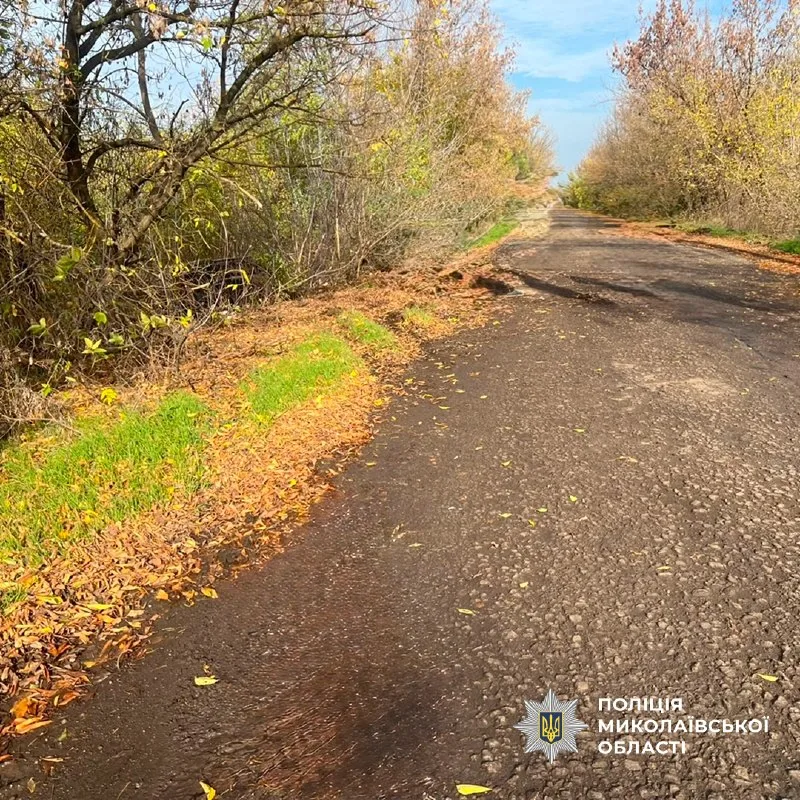 Кросовер перекинувся на Миколаївщині: пасажир опинився в лікарні