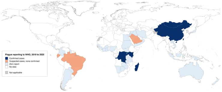 инфографика ООН о чуме, вызываемой бактерией Yersinia pestis, 2019–2025 годы