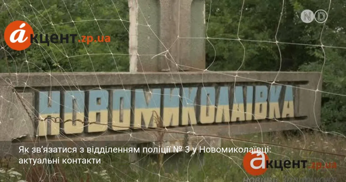 Як зв’язатися з відділенням поліції № 3 у Новомиколаївці: актуальні контакти