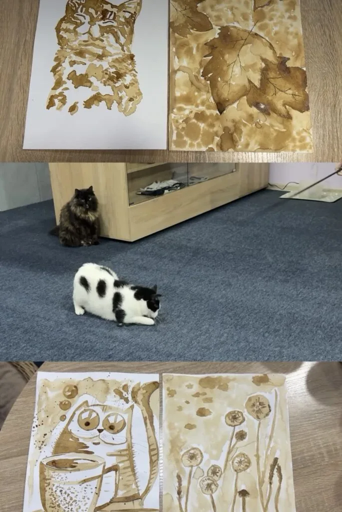 Котокафе Meow Cafe Запоріжжя
