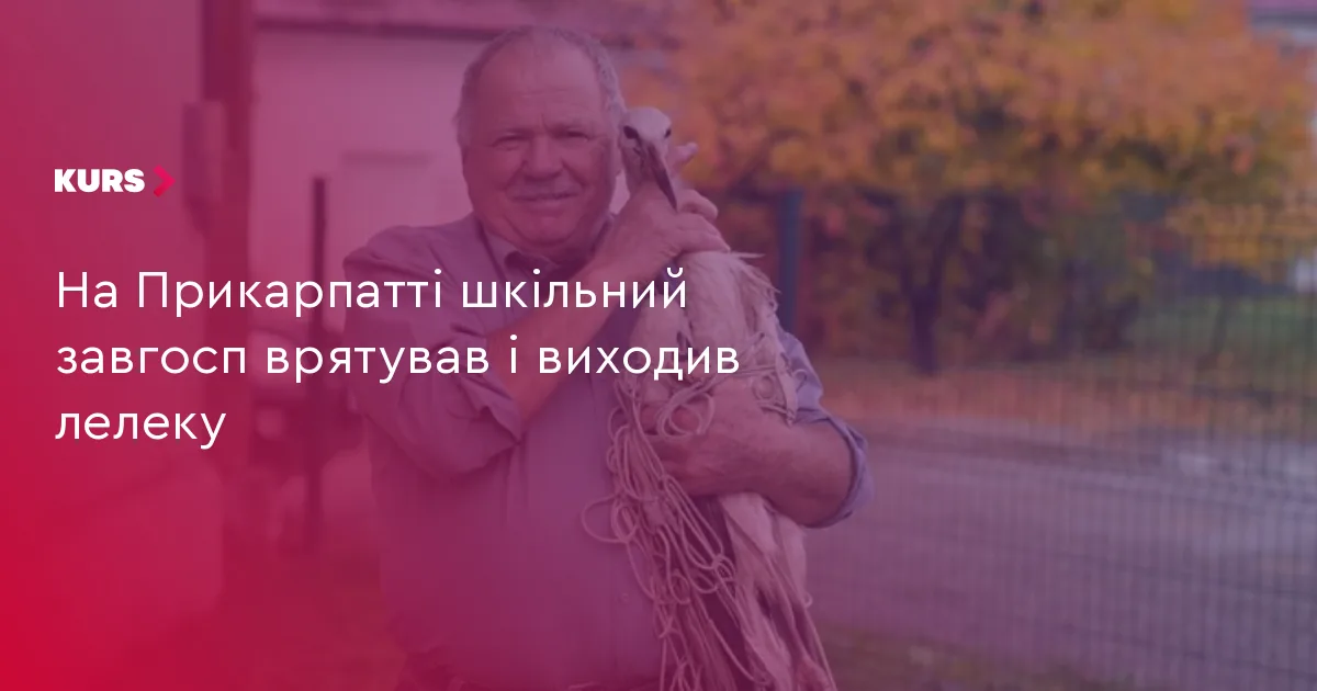 На Прикарпатті шкільний завгосп врятував і виходив лелеку