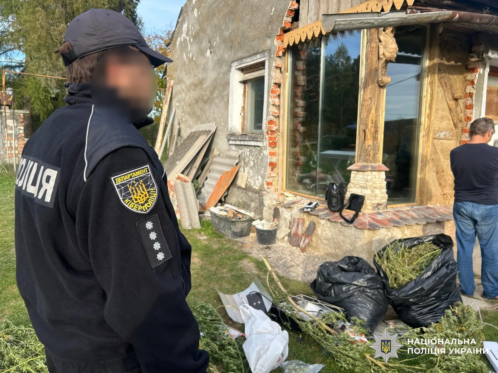 Конопляне поле заховали на Львівщині у безлюдній та важкодоступній місцевості