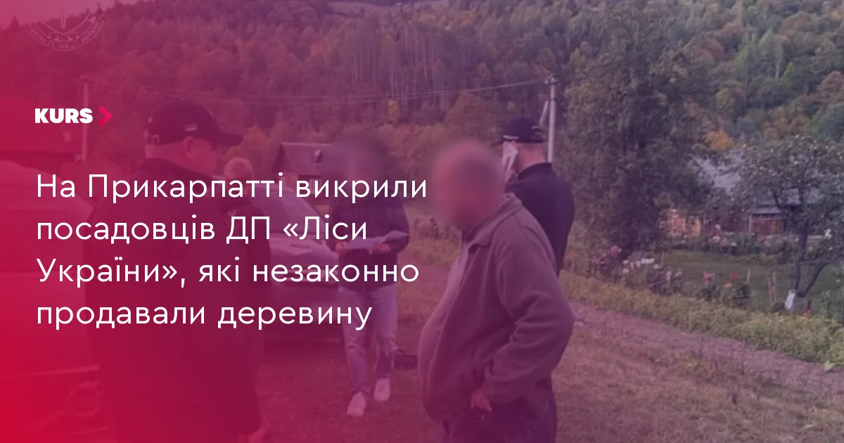 На Прикарпатті викрили посадовців ДП «Ліси України», які незаконно продавали деревину