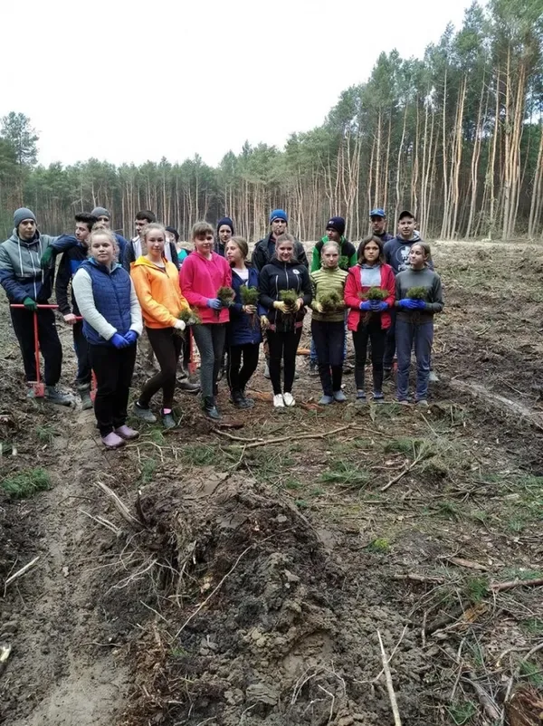 Єдиний в області: у селі на Волині створили унікальний шкільний дендропарк та «зелений клас» (фото)