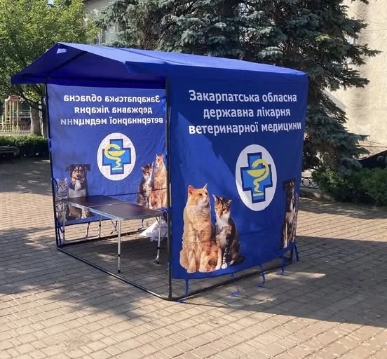 Безкоштовну вакцинацію тварин проведуть в Ужгороді